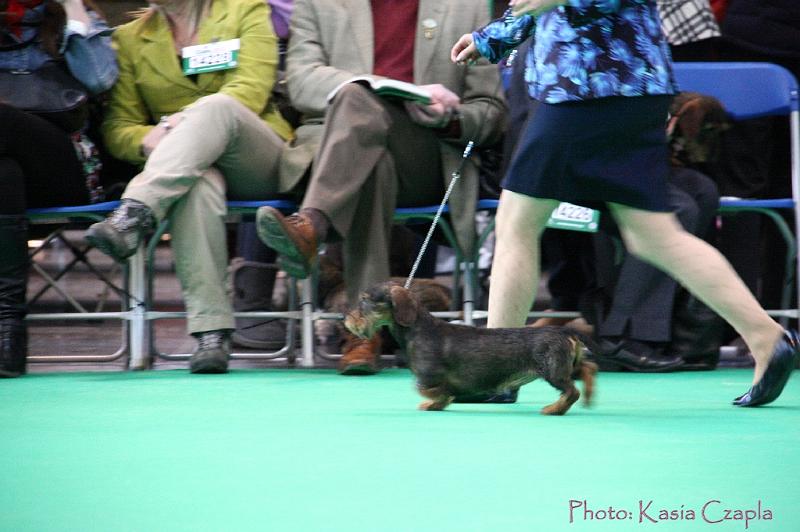 Crufts2011_2 867.jpg